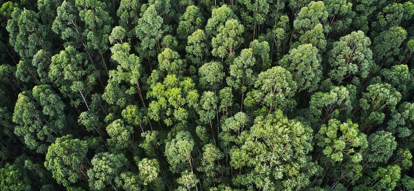 Keberlanjutan & Dampak Lingkungan
